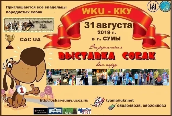 Всеукраинская выставка собак в Сумах 2019